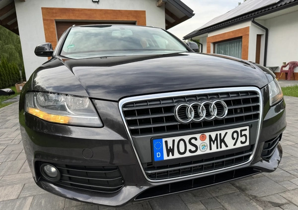 Audi A4 cena 24900 przebieg: 222534, rok produkcji 2008 z Otmuchów małe 781